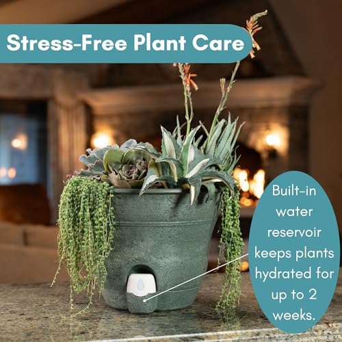 Bernini FirmaStone 15" Self-Watering Planters, Set of 2 – Durable Indoor/Outdoor Pots with Drainage Plug & Built-in Reservoir – Lightweight Garden Planters for Patio, Porch, Balcony - Image 2