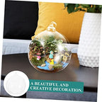 2pcs Globe Hanging Terrarium Glass for Indoor Plants - Image 7