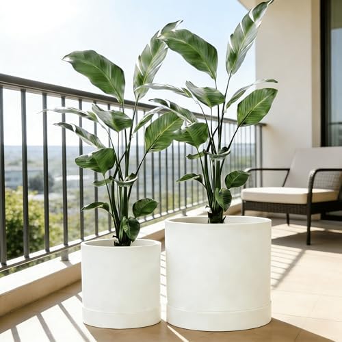 GreenShip Planter Set of 2 (13.8" & 11.8") – Cylinder Planters with Drainage Hole and Planter Saucer, Jun Porcelain Clay & Recycled Resin, Decorate Home,Office & Outdoor,White pots by GreenShipHandmadePots