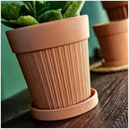 Flower pots 2 Pack Terracotta Planter Flower Pot Outdoor Indoor(15.5cm) - Image 5