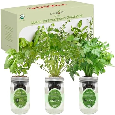 Hydroponic Herb Growing Kit Set, Self-Watering Mason Jar Herb Garden Starter Kit Indoor, Windowsill Herbs Garden, Grow Your Own Herbs from Organic Seeds (Basil, Cilantro and Parsley) - Image 2