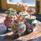 Hand Painted Tall Round Succulent Planter Cactus Planter Pot Clay Pot Flower Pot Floral Design with Bamboo Trays Pack of 4 (3 Inch) - Image 4