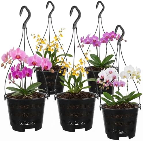 5 Pack Orchid Hanging Planters - Slotted Mesh Net Orchid Pots for Repotting - Black Plastic Hanging Flower Baskets with Hooks for Indoor Outdoor Plants - Breathable Root Control Planter Container by DOITOOL