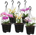 5 Pack Orchid Hanging Planters - Slotted Mesh Net Orchid Pots for Repotting - Black Plastic Hanging Flower Baskets with Hooks for Indoor Outdoor Plants - Breathable Root Control Planter Container by DOITOOL