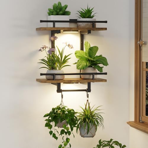 LASZOLA Floating Plant Shelves Holder Wall Indoor with Light, 1 Pack Brown by LASZOLA