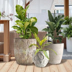 Round Concrete Style Planter Set of 3, Large Outdoor Flower Pots with Drainage, Stone Texture Plant Pots for Indoor Outdoor Garden, Patio & Balcony Décor (3, Sandstone) - Image 3