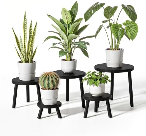 Delma Wood Plant Stands 5-Pack Indoor, Plant Stool, Black by Delma