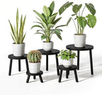 Delma Wood Plant Stands 5-Pack Indoor, Plant Stool, Black by Delma