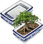 Set of 2 Blue and White Ceramic Bonsai Pots with Drainage Hole, 7.5" & 5" - Image 7