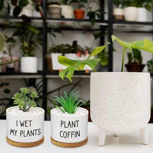 12 Pcs Funny Succulent Pots with Bamboo Tray White Ceramic Aloe Cactus Plant Pots Funny Plant Pots for Women Coworker Employee - Image 5