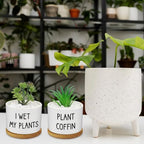 12 Pcs Funny Succulent Pots with Bamboo Tray White Ceramic Aloe Cactus Plant Pots Funny Plant Pots for Women Coworker Employee - Image 5