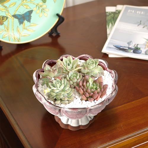 5.5 Inch Succulent Pot with Drainage and Saucer Glazed Terracotta Round Ceramic Succulent Planter Cactus Plant Pot Set of 2 Red Blue - Image 7