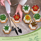 Gerrii Succulent Pots Mini White Ceramic Flower Planter Pot Succulent Planters with Wooden Trays and Drainage Holes for Plants Cactus Home Office Decoration, Plants Not Included(24 Pcs) - Image 4