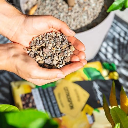 LECHUZA CITRUSPON Citrus Potting Soil, 2.7 US Dry gal - Image 3