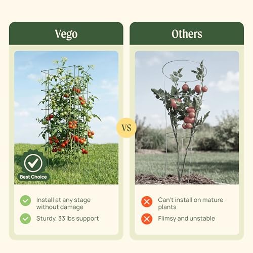 Vego Garden Tomato Cage 16.5" Square Heavy-Duty for Garden & Pots, Rust-Resistant Tomato Stackable Heavy Gauge Plant Cage Trellis Support for Climbing Vegetables Plants - Image 4
