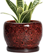 SQOWL Ceramic Pot for Plants - 6 Inch Plant Pot Indoor with Drainage Hole and Saucer, Decorative Flower Pot Outdoor, Round Succulent Planter, Front Porch Decor, House Warming Gifts New Home, Red by SQOWL