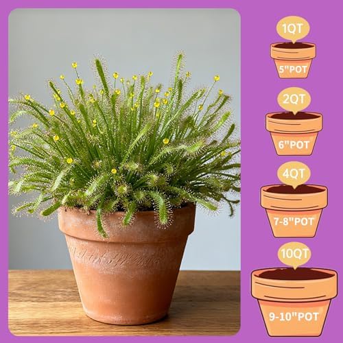 Premium Carnivorous Plant Soil for Venus Fly Trap Live Plants 10qt | New Upgraded Formula with High Drainage & Breathability - Image 7