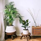 Novabright 2 Pcs Short Plant Stand Small Wood Plant Stool, Rustic Color - Image 5