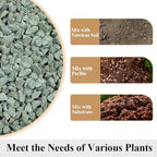 YISZM Succulents and Cactus Green Zeolite Rocks, Decorative Stones Pebbles for Indoor Plants, Bonsai, Fairy Gardening, Vases Fillers, Terrarium, 10lb - Image 3