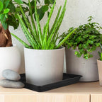 DOITOOL 2 pcs Square Plant Saucer 16 inch Plastic Plant Tray for Indoor Outdoor Potted Flowers No Hole Drip Tray Water Catcher Base Plate for Pots and Seed Starting - Image 5