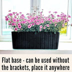 LaLaGreen Outdoor Wall Planters (20in, 2 Pack) Black Window Flower Boxes - Image 6