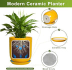 Plant Pot 8 Inch - Ceramic Plant Pot with Drainage Hole and Saucer Large Planter for Indoor Plants Outdoor Modern Flower Pot for Home Garden Decor Yellow - Image 6