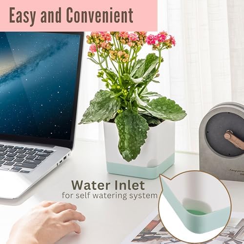 LaLaGreen Indoor Planter Boxes for Plant (7 Pack) Window Flower Box Planter - Image 3