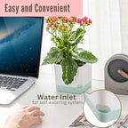 LaLaGreen Indoor Planter Boxes for Plant (7 Pack) Window Flower Box Planter - Image 3