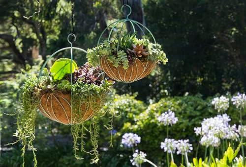 SuperMoss Leeds Sphere Black Metal 10" Hanging Basket - Image 3