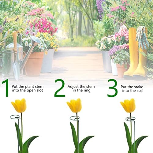 Thealyn 36 Inch 20 Packs Plant Support Stake Garden Single stemmed Plant Support Hoops Plant Prop for Flowers Orchid Tomatoes Peony Lily Rose Gladiolus (36 inch) - Image 4