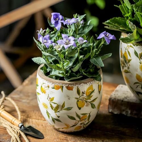 Reto Rustic Ceramic Flower Pots for Garden Plants and Succulents,Distressed Cracked Glazed Planters with Drainage Holes Tuscan Flower Pots for Outdoor,Yellows,with Hole - Image 3
