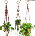 Set of 3 Macrame Plant Hanger | Disco ball decor Hanging planters for indoor plants Cool gifts for plant lovers Boho plant pots plant stand indoor Hanging planters for outdoor plants (Cafe Latte) by HandmadeByUruba