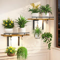 iDavosic.ly Wall Plant Holder with Grow Light 2 Pack, Floating Shelf, Brown by iDavosicly
