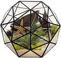 Glass Flower Pots Geometric Terrarium Planter Container Air Plant Display Air Plant Containers for Succulents Balcony Tabletop Miniature Fairy Garden Modern Decor Terrarium Large by %E4%B8%BB%E9%A1%B5