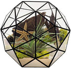 Glass Flower Pots Geometric Terrarium Planter Container Air Plant Display Air Plant Containers for Succulents Balcony Tabletop Miniature Fairy Garden Modern Decor Terrarium Large by %E4%B8%BB%E9%A1%B5