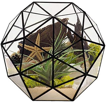 Glass Flower Pots Geometric Terrarium Planter Container Air Plant Display Air Plant Containers for Succulents Balcony Tabletop Miniature Fairy Garden Modern Decor Terrarium Large by %E4%B8%BB%E9%A1%B5