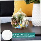 2pcs Glass Hanging Globe Terrarium for Succulents and Plants - Image 5