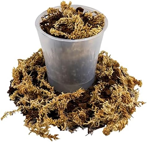 Gardenera Premium Orchid Mix by GARDENERA - 10 Quart - Fern + New Zealand Pine Bark + Sphagnum Moss + Perlite | Best for Growing and Repotting Orchids (2 Bags of 5 QT) - Image 3
