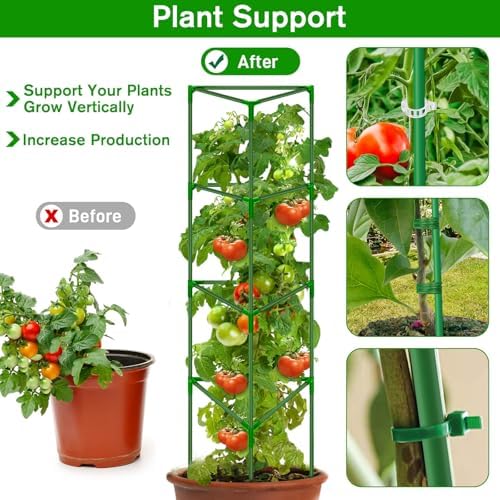 6 Pack Tomato Cages for Garden, Tomato Cage Trellis, Garden Cage Heavy Duty - Image 5