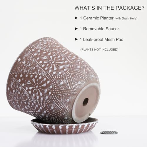 Gepege 8 Inch Ceramic Plant Pot with Drainage & Saucer - Image 3
