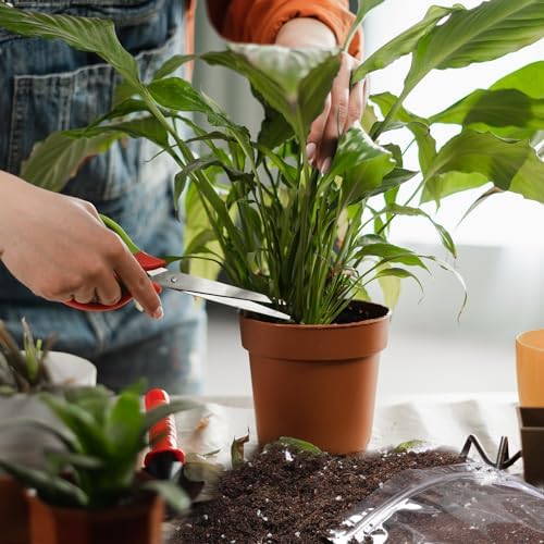 Doter Organic Peace Lily Soil Mix 10qt, Indoor Plants Potting Mix for Planting, Growing, or Repotting Peace Lily Plants, Grow Healthy houseplants Indoors - Image 7