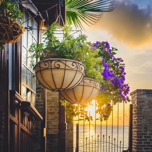Ashman 14 Inch Metal Hanging Planter Basket with Coco Coir Liner Round Wire Plant Holder Chain Porch Decor Flower Pots Hanger Garden Decoration Indoor Outdoor Watering Hanging Baskets (4) - Image 2
