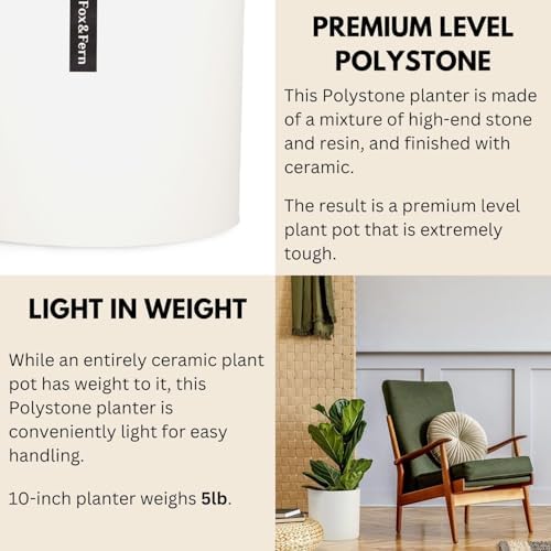 Fox & Fern Large Planter for Indoor or Outdoor, Matte White, 10 Inch - Image 4