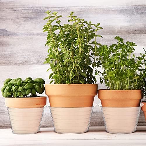 Hoolerry 15 Pcs Plastic Plant Saucer Clear Deep Tray, 6, 8, 10 Inch - Image 7