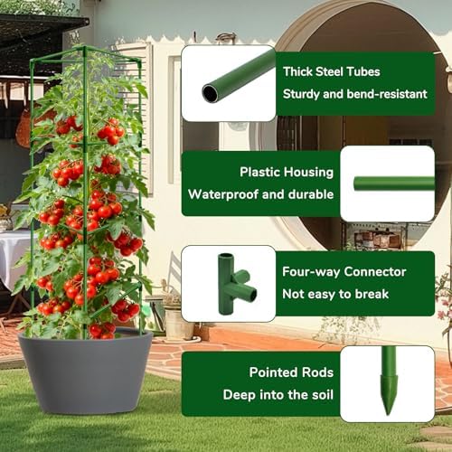 ZeeDix 6 Pack 65 Inch Heavy Duty Tall Tomato Cages for Garden - Image 5