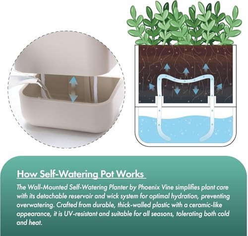 Phoenix Vine 6.5 Inch Wall Mounted Self-Watering Planter Pot for Indoor Houseplants and Herbs | Hanging Planter for Window Sills, Bathroom Walls, Home & Office Décor, Oatmeal, Set of 2, 01-C-G-2 - Image 5