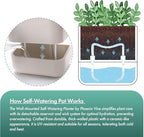 Phoenix Vine 6.5 Inch Wall Mounted Self-Watering Planter Pot for Indoor Houseplants and Herbs | Hanging Planter for Window Sills, Bathroom Walls, Home & Office Décor, Oatmeal, Set of 2, 01-C-G-2 - Image 5