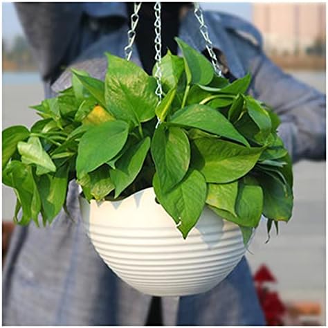 Liudan Hanging Basket Hanging Flower Pot with Plastic Chain Wall Mounted Plant Basket Planters for Home Garden Indoor Outdoor Balcony Hanging Plant Pots (Color : White) - Image 2