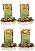 Gardenera Sphagnum Moss Potting Mix for Carnivorous Plants, Moss and Perlite Blend for Potting Venus Fly Traps, Sarracenia, Pitcher Plants - Sphagnum Moss & Perlite - Made in USA - 20 Quart by Gardenera