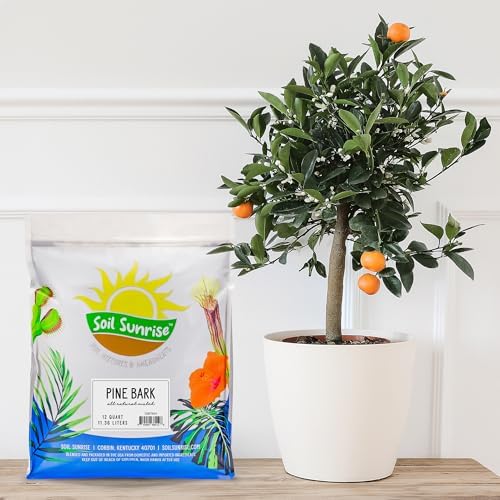Soil Sunrise 100% Natural Pine Bark Mulch Nuggets (12 Quarts) Small Chips for Indoor/Outdoor Container Gardening, Ideal for Soil Supplement, Houseplant Topper, and Terrariums - Image 2